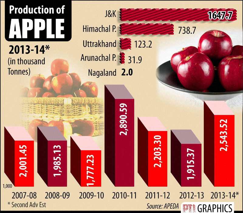 Production of Apple.