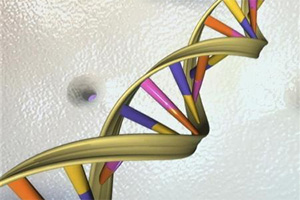 DNA