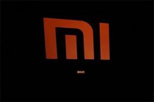 xiaomi ecommerce business