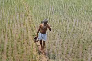 According to IMD’s national agromet advisory service, the prevailing weather conditions are suitable to continue agricultural activities like land preparation and sowing of kharif crops in north-eastern states, Kerala, Karnataka, Maharashtra and West Bengal.