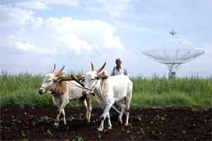farm sector
