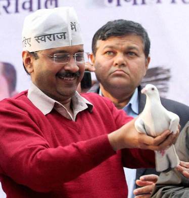 Aam Aadmi Party, Aam Aadmi Party news, Aam Aadmi Party questions, BJP 5 questions, Narendra Modi, BJP news, Arvind Kejriwal, Arvind Kejriwal AAP