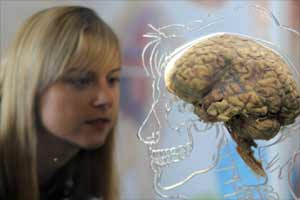 Brain treatment