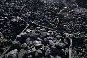 coal import bill