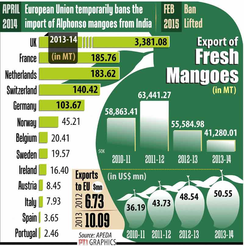 European Union, India mango export, Alphonso mango