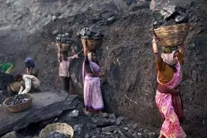 coal blocks, coal blocks auction, coal block auctioned, coal ministry, power sector, coal blocks bids, business news