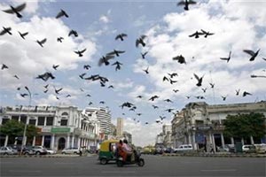 Earthquake in Delhi