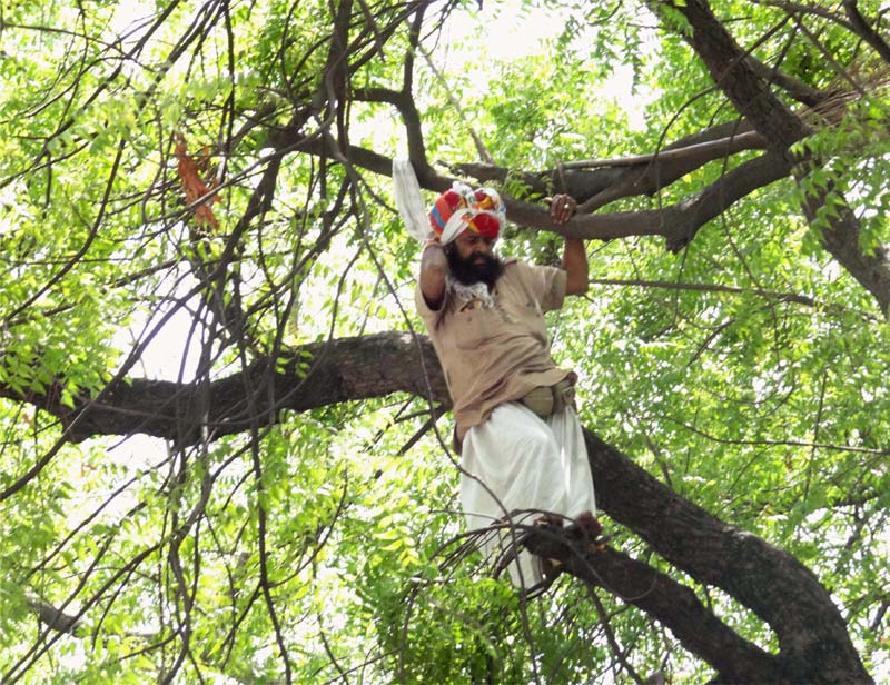 Farmer suicide