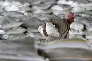 Cement stocks