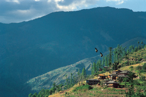 Tripadvisor announces Travellers’ Choice Hill Station Hotels