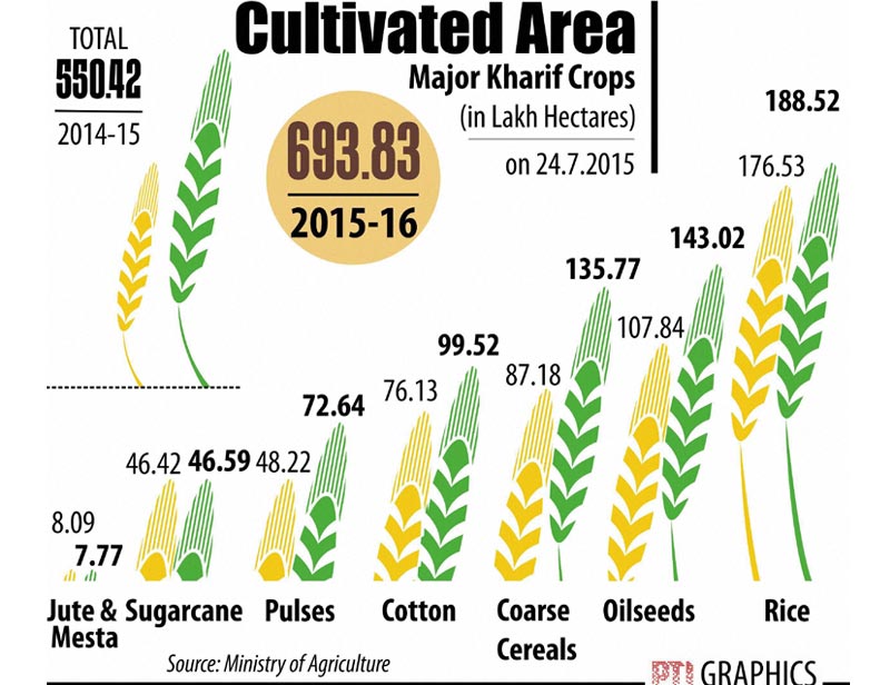 Kharif crops