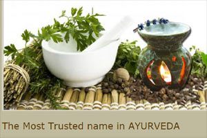 Baidyanath products