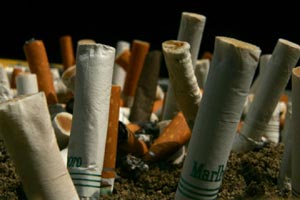 tobacco