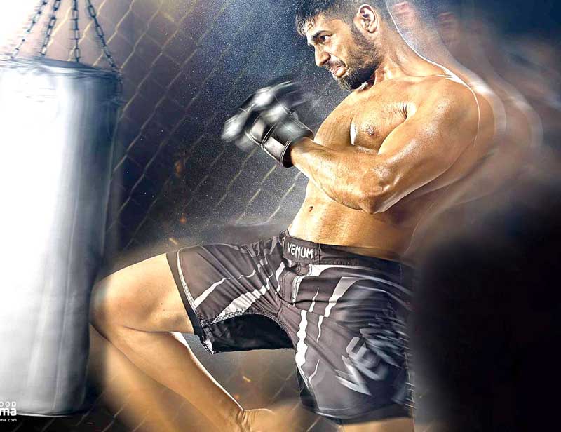 Brothers collection, siddharth malhotra