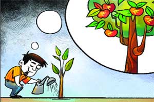 mutual fund