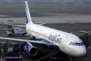 indigo
