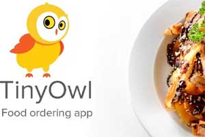 tinyowl employees