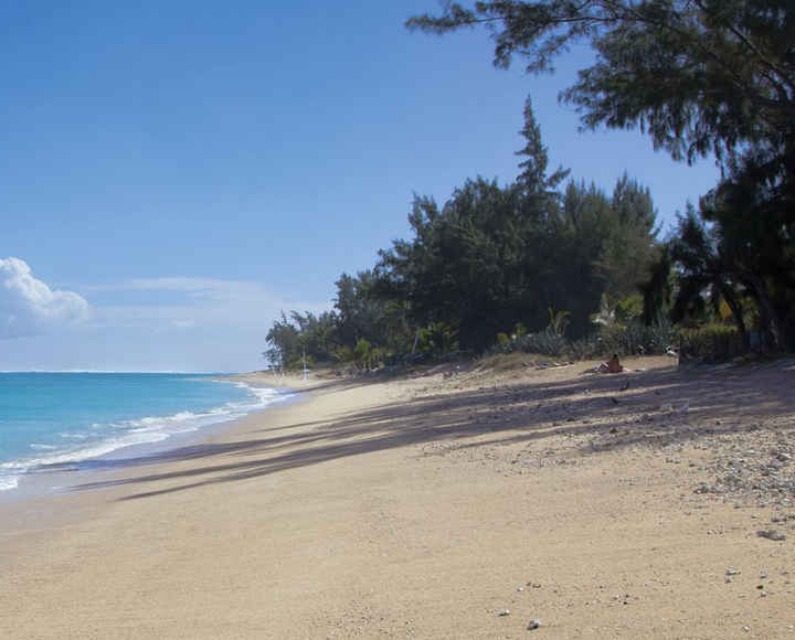 Indian Ocean Swimming Championship comes to Reunion Island Life News