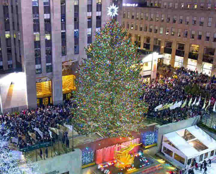 5 popular Christmas trees around the world Life News The Financial