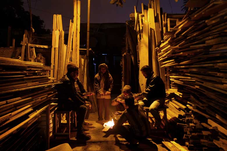 timber, wood, illegal trade of wood, operation sesha