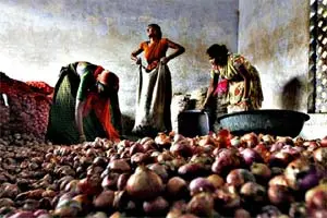 A day after Prime Minister Narendra Modi announced the demonetisation of R500 and R1,000 notes, most wholesale markets in Maharashtra caught in to a situation where traders and commission agents did not have cash to pay farmers. (Reuters)