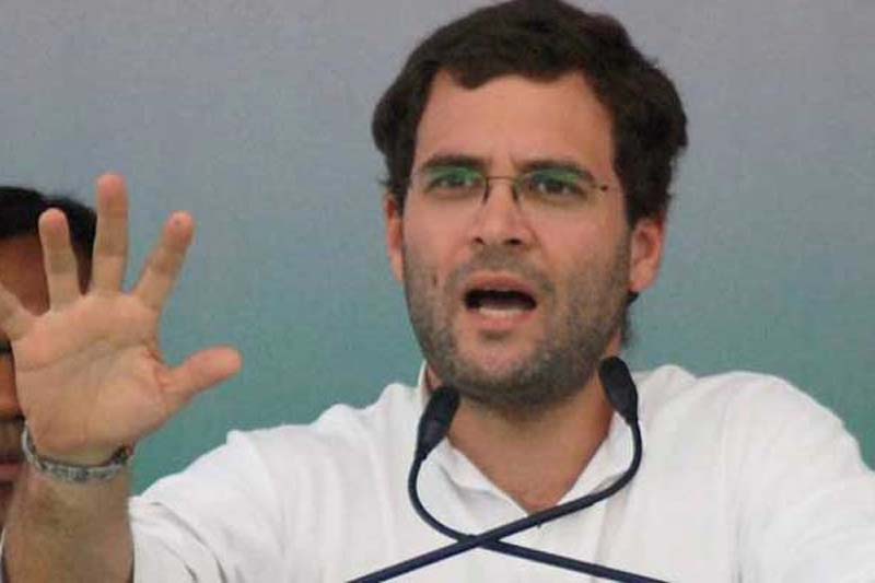 rahul gandhi, dalit student suicide, rahul gandhi on dalit student suicide, mgnrega, rahul gandhi mgnrega, narendra modi, rahul gandhi on modi govt, rahul gandhi speech, rahul gandhi speech highlights