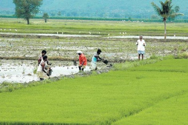 Narendra Modi, farmers income, Narendra Modi farmers income, farmers income strategy, modi strategy farmers income, farmers india