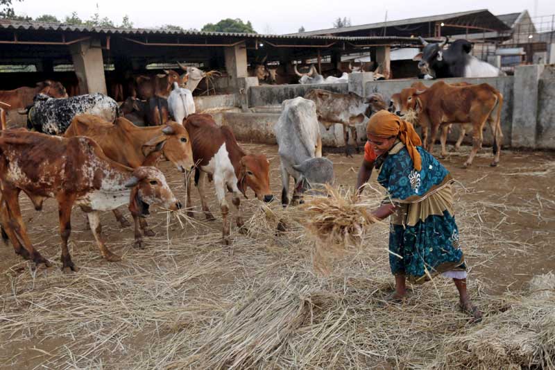 budget 2016, arun jaitley, agriculture in india, budget 2016 highlights, farmers in india, indian economy, arun jaitley budget, arun jaitley on farmers