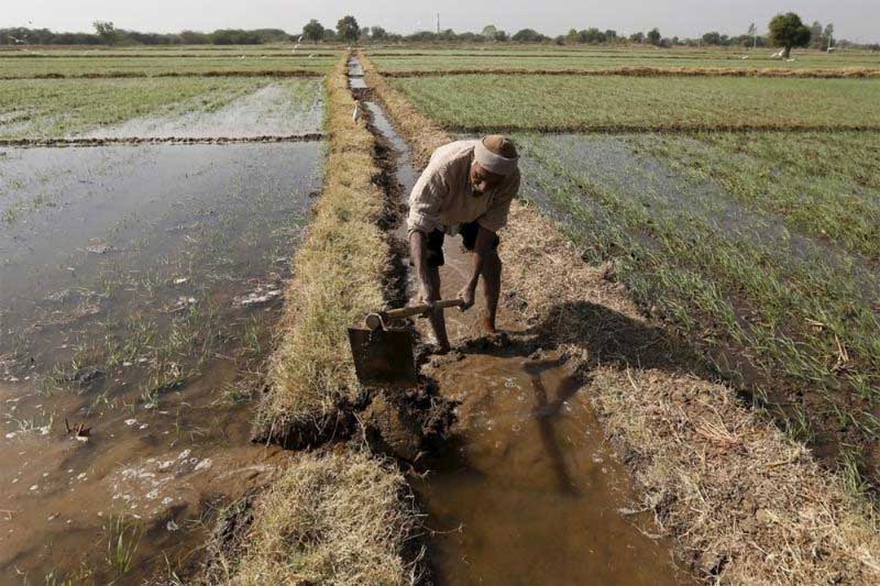 budget 2016, arun jaitley, agriculture in india, budget 2016 highlights, farmers in india, indian economy, arun jaitley budget, arun jaitley on farmers