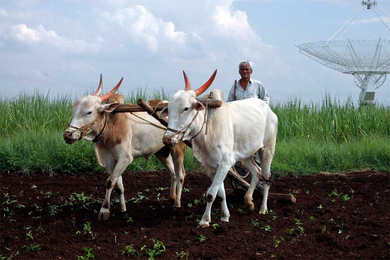budget 2016, arun jaitley, agriculture in india, budget 2016 highlights, farmers in india, indian economy, arun jaitley budget, arun jaitley on farmers