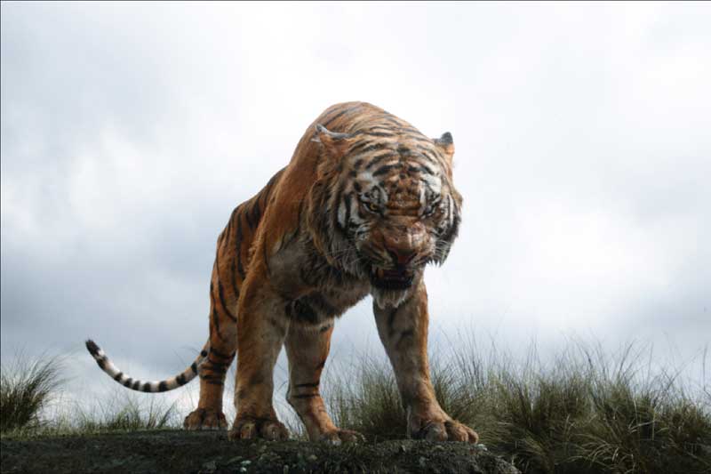 Jungle book, jungle book collection, jungle book box office collection, jungle book full movie, jungle book hindi, jungle book movie, jungle book review, jungle book box office tracking