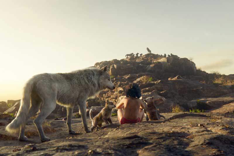 Jungle book, jungle book collection, jungle book box office collection, jungle book full movie, jungle book hindi, jungle book movie, jungle book review, jungle book box office tracking