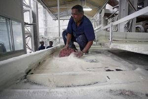 sugar stocks bse sensex nse nifty