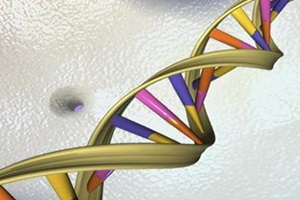 While people have been working on DNA coding for long and they have been able to create artificial DNA, what has eluded them is the science behind regenerative capacity of DNA. (Reuters)