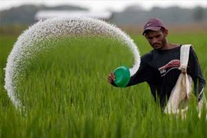 Icra attributed the downgrade to the deterioration in the financial profile of DFPC owing to the continued regulatory overhang over the gas supply issue and the recovery of unintended benefits from players manufacturing Nutrient “N” using domestic gas. (Reuters)