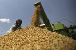 New Delhi lowered the wheat import tax to 10 percent from 25 percent. The import duty on crude palm oil and refined edible oils have been reduced to 7.5 and 15 percent respectively, the order posted on a government website, showed. (Reuters)