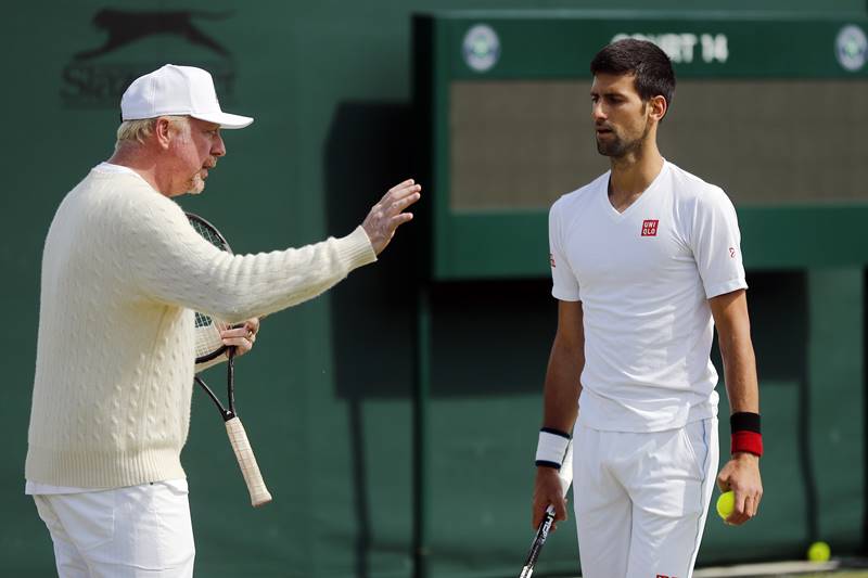 novak djokovic, novak djokovic wimbledon, novak djokovic news, novak djokovic vs sam querrey, novak djokovic vs andy murray, novak djokovic vs rafael nadal, tennis warehouse