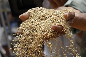 Wholesale inflation soared to a 23-month high of 3.55 per cent in July as vegetables, pulses and sugar turned costlier