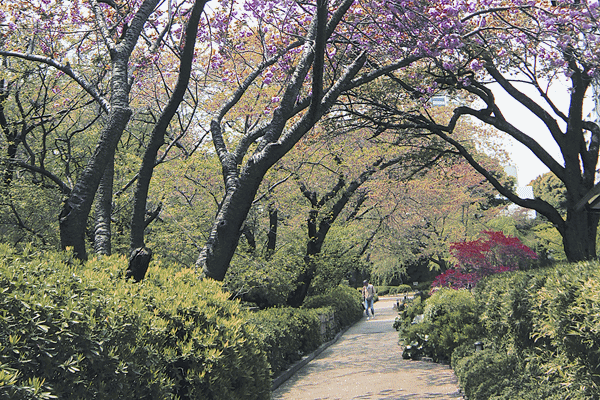 Japan sees 20 per cent rise in Indian tourists in first half of 2016