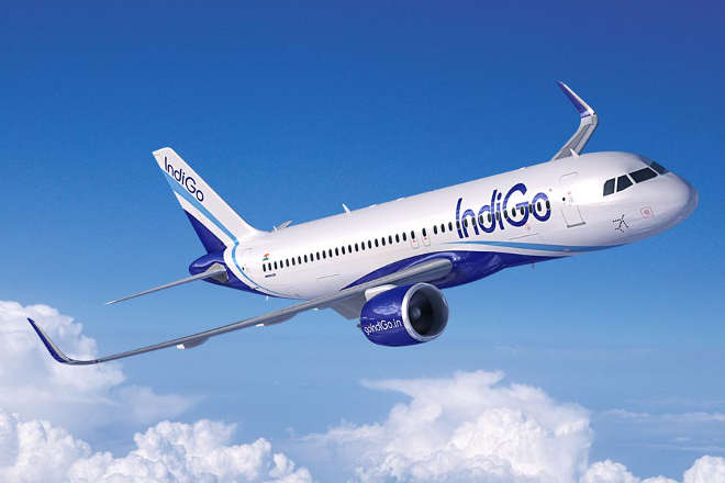 interglobe aviation, indigo shares