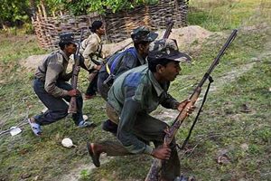 Greyhounds is AP's elite anti-Maoist force. (PTI)