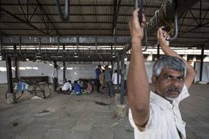 There is no getting away for some kind of registration/licence—with slaughterhouses divided into ovine (sheep), caprine (goats), suilline (pigs), bovine (cattle), poultry and fish. (Reuters)