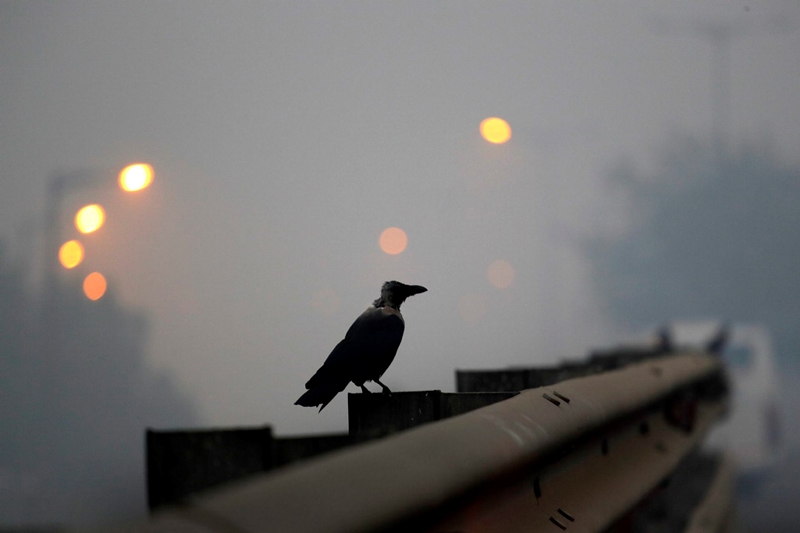 pollution in delhi, pollution level in delhi, pollution levels after diwali, pollution in delhi after diwali