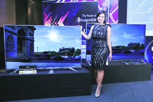 “TV segment is huge in India and we thought of ushering in innovation rather than bringing something basic to the market,” 