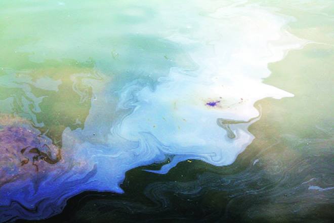 The company has identified five strains of bacteria which are grown in a bioreactor under controlled conditions at the company’s R&D facility in Faridabad.