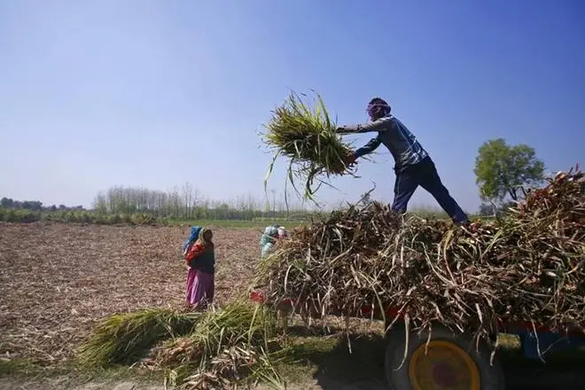 The Kotak report has some interesting numbers on the likely impact of any farm-loan waiver. (Reuters)