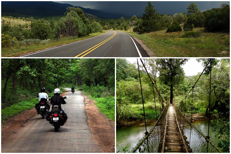 You could be drawn to Coorg instead, especially if you are a keen motorcyclist and an avid coffee drinker. Coorg is about 270 km from Bangalore and has some really inviting stretches of roads leading to it. (Image: indiaonline/cartoq/hotelsinsouth)