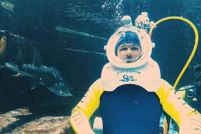 During the broadcast, Tolan was surrounded by 65,000 marine animals and fish