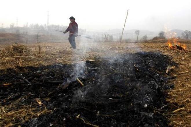  Images show rise in the number of cases of burning of crops between April 25 and May 3. (Reuters)
