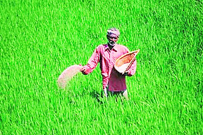 Farm loan waivers, Reserve Bank of India, SDL, SDL securities, treasury department, Kotak Economic Research, GDP